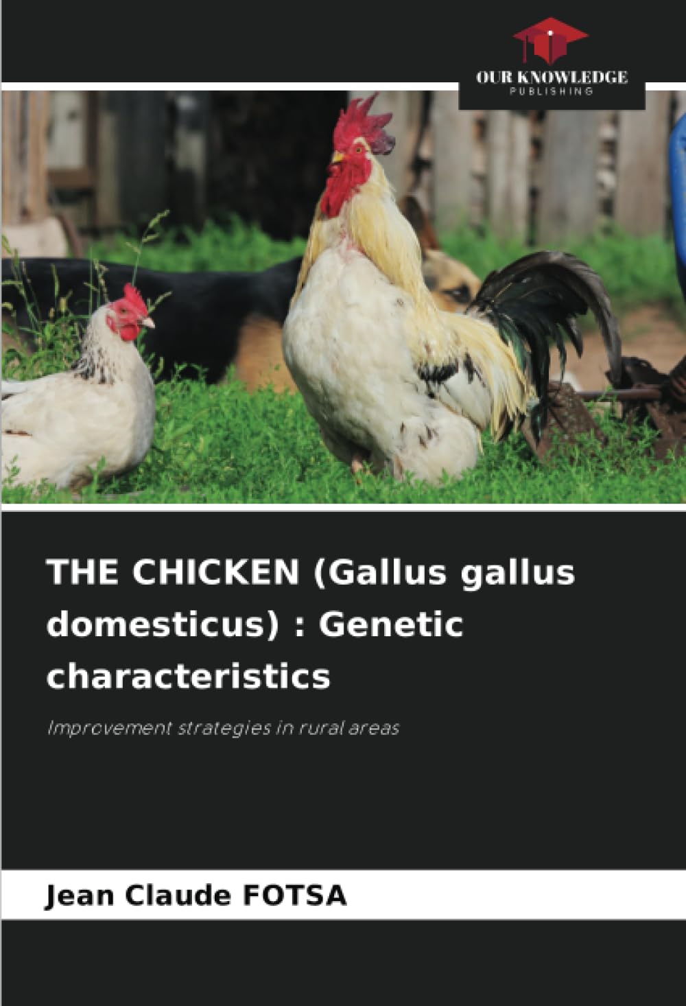 宮嶋仁志 卵屋 G.G.D Gallus Gallus Domesticus 61+WovlQ3xL.jpg